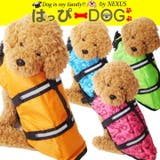 犬 服 犬服 | K-city | 詳細画像1 