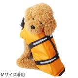 犬 服 犬服 | K-city | 詳細画像2 