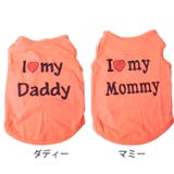 犬 服 犬服 | K-city | 詳細画像5 