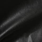 ボアカラーフェイクレザーブルゾン | VICKY | 詳細画像18 