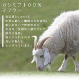 カシミヤ マフラー 大判 | kimonocafe | 詳細画像6