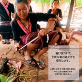 希少 通好み 葛の八寸名古屋帯 | kimonocafe | 詳細画像3 