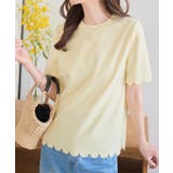 クリームイエロー | スカラップTシャツ［C7539］ | KOBE LETTUCE