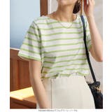 選べるデザイン コットン100％ ベーシックボーダー半袖Tシャツ［C2104］ | KOBE LETTUCE | 詳細画像13 