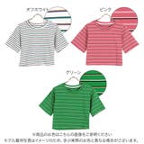 クロップドボーダーTシャツ マルチボーダー ヘルシー | KOBE LETTUCE | 詳細画像2