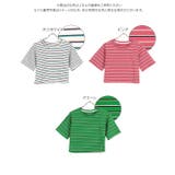 クロップドボーダーTシャツ マルチボーダー ヘルシー | KOBE LETTUCE | 詳細画像10