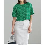 クロップドボーダーTシャツ マルチボーダー ヘルシー | KOBE LETTUCE | 詳細画像8