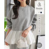 [ Petitle プチレ | KOBE LETTUCE | 詳細画像1