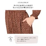 [ レタコラ ] | KOBE LETTUCE | 詳細画像13 