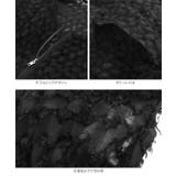 ボリュームスリーブシアーフェザーブルゾン［K1322］ | KOBE LETTUCE | 詳細画像10 