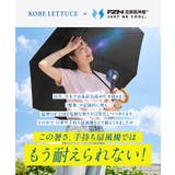 スターターファンセット メーカー保証付き ファンケーブルセット［X512］ | KOBE LETTUCE | 詳細画像4 