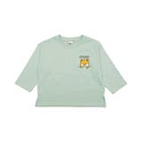 柴犬×Nアッシュミント地 | プリントTシャツ 綿100% 長袖 | 子供服Bee