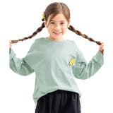 柴犬×アッシュミント地 | プリントTシャツ 綿100% 長袖 | 子供服Bee