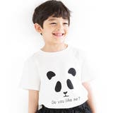パンダ×ホワイト | プリントTシャツ 綿100% 半袖 | 子供服Bee
