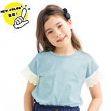 Nくすみブルー地 | 半袖トップス 子供服 キッズ 女の子 春 夏 韓国子供服 | 子供服Bee