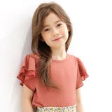 ローズ | フリル袖トップス 半袖 リブ地 | 子供服Bee