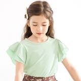 ミント | フリル袖トップス 半袖 リブ地 | 子供服Bee