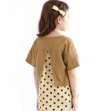 ブラウン×ドット | バック切り替えトップス 子供服 キッズ 女の子 春 夏 韓国子供服 | 子供服Bee