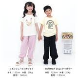 プリントTシャツ 綿100% 半袖 | 子供服Bee | 詳細画像14