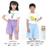 プリントTシャツ 綿100% 半袖 | 子供服Bee | 詳細画像15