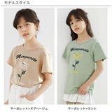 プリントTシャツ 綿100% 半袖 | 子供服Bee | 詳細画像9