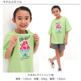 プリントTシャツ 綿100％ 半袖 | 子供服Bee | 詳細画像13 