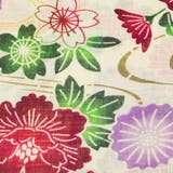 レディース 浴衣 単品 綿麻（02） ベージュ系 菖蒲 菊 牡丹 桜 | 京のおしゃれ屋  | 詳細画像10 