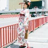 レディース 浴衣 単品 綿麻（02） ベージュ系 菖蒲 菊 牡丹 桜 | 京のおしゃれ屋  | 詳細画像3 