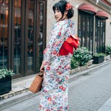 レディース 浴衣 綿麻３点 | 京のおしゃれ屋  | 詳細画像2 