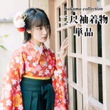 二尺袖着物 単品 【01】 | 京のおしゃれ屋  | 詳細画像1 
