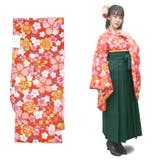 二尺袖着物 単品 【01】 | 京のおしゃれ屋  | 詳細画像3 