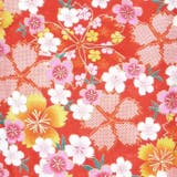 二尺袖着物 単品 【01】 | 京のおしゃれ屋  | 詳細画像4 