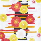 二尺袖着物 単品 【02】 | 京のおしゃれ屋  | 詳細画像5 