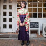 二尺袖着物 単品 【03】 | 京のおしゃれ屋  | 詳細画像2 