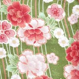二尺袖着物 単品 【03】 | 京のおしゃれ屋  | 詳細画像5 