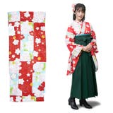 二尺袖着物 単品 【05】 | 京のおしゃれ屋  | 詳細画像4 