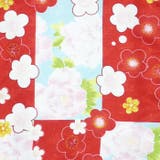 二尺袖着物 単品 【05】 | 京のおしゃれ屋  | 詳細画像5 