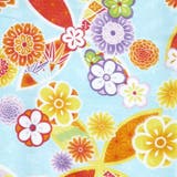 二尺袖着物 単品 【06】 | 京のおしゃれ屋  | 詳細画像5 