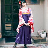 二尺袖着物 単品 【08】 | 京のおしゃれ屋  | 詳細画像3 