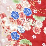 二尺袖着物 単品 【08】 | 京のおしゃれ屋  | 詳細画像5 
