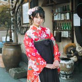 二尺袖着物 単品 【09】 | 京のおしゃれ屋  | 詳細画像3 