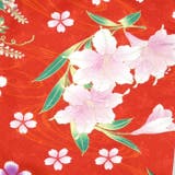 二尺袖着物 単品 【09】 | 京のおしゃれ屋  | 詳細画像5 