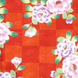 二尺袖着物 単品 【11】 | 京のおしゃれ屋  | 詳細画像5 