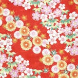 二尺袖着物 単品 【12】 | 京のおしゃれ屋  | 詳細画像5 
