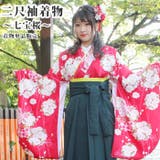 二尺袖着物 単品 七宝桜 | 京のおしゃれ屋  | 詳細画像1 