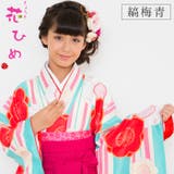 二尺袖着物 京都「花ひめ」 ２点セット 縞梅青 ジュニア 伊達衿付 | 京のおしゃれ屋  | 詳細画像1 