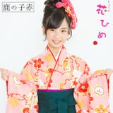 二尺袖着物 京都「花ひめ」 ２点セット 鹿の子赤 ジュニア 伊達衿付 | 京のおしゃれ屋  | 詳細画像1 