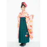 二尺袖着物 京都「花ひめ」 ２点セット 鹿の子赤 ジュニア 伊達衿付 | 京のおしゃれ屋  | 詳細画像4 