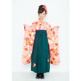 二尺袖着物 京都「花ひめ」 ２点セット 鹿の子赤 ジュニア 伊達衿付 | 京のおしゃれ屋  | 詳細画像5 