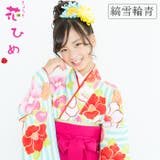 二尺袖着物 京都「花ひめ」 ２点セット 縞雪輪青 ジュニア 伊達衿付 | 京のおしゃれ屋  | 詳細画像1 